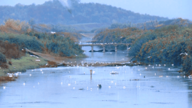 Lumenjtë e Shqipërisë, të ndotur ose shumë të ndotur