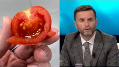 Kosova shton kontrollet për domatet nga Shqipëria, Braçe-Kurtit: Miku im Albin, ky është prodhim me…