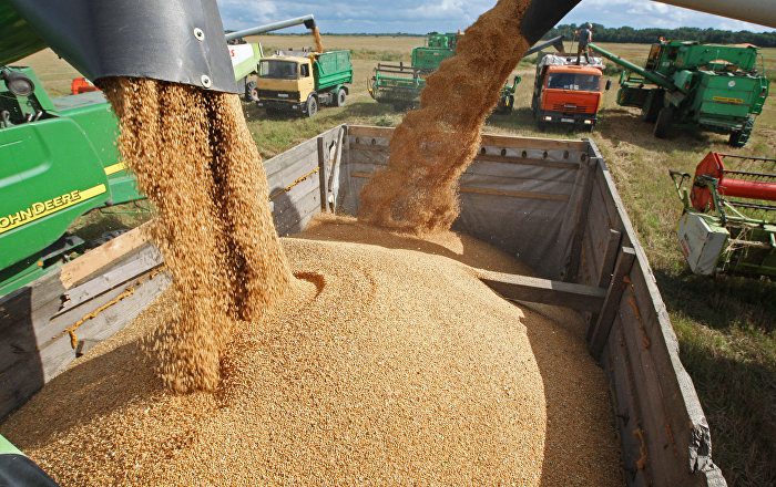 Pas 30 vitesh, çmimi arrin në 50 lekë për kilogram/ Lufta shtrenjton grurin shqiptar
