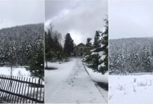 FOTOT/ Të gjithë drejt Përmetit: Bora zbardh magjishëm Parkun Kombëtar “Bredhi i Hotovës – Dangëlli” FOTOT/ Të gjithë drejt Përmetit: Bora zbardh magjishëm Parkun Kombëtar “Bredhi i Hotovës – Dangëlli”