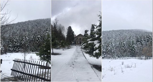 FOTOT/ Të gjithë drejt Përmetit: Bora zbardh magjishëm Parkun Kombëtar “Bredhi i Hotovës – Dangëlli” FOTOT/ Të gjithë drejt Përmetit: Bora zbardh magjishëm Parkun Kombëtar “Bredhi i Hotovës – Dangëlli”
