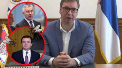 ‘Janë si miza që presin…’/ Vuçiç sulmon ashpër Kurtin: Serbia është një ujk i vetmuar ‘Janë si miza që presin…’/ Vuçiç sulmon ashpër Kurtin: Serbia është një ujk i vetmuar