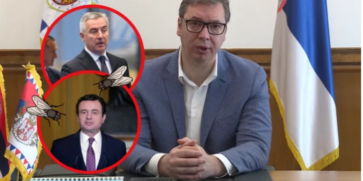 ‘Janë si miza që presin…’/ Vuçiç sulmon ashpër Kurtin: Serbia është një ujk i vetmuar ‘Janë si miza që presin…’/ Vuçiç sulmon ashpër Kurtin: Serbia është një ujk i vetmuar