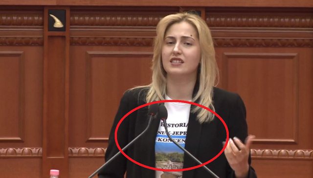 FOTOLAJM/ Bluza e deputetes demokrate shkakton debat në Kuvend, ja çfarë shkruhet në të