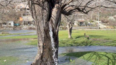 Uji nga pema 100 vjeçare/ Fshati shqiptar në Mal të Zi që u bë fenomen në mediat botërore (VIDEO)
