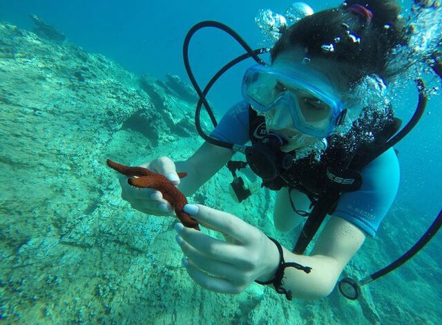 Turizmi i vëzhgimit të yjeve dhe zhytja potencial për të ardhmen e Shqipërisë Turizmi i vëzhgimit të yjeve dhe zhytja potencial për të ardhmen e Shqipërisë