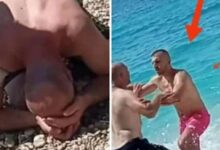 Sot kam frikë Sot kam frikë
