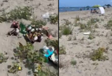 Në pikun e sezonit turistik, plazhi publik në Karpen i mbushur me mbeturina Në pikun e sezonit turistik, plazhi publik në Karpen i mbushur me mbeturina