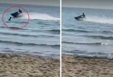 Edhe 1 ditë pas tragjedisë së Himarës, nuk pyet njeri/ Motori i ujit futet me shpejtësi mes njerëzve në Gjirin e Lalzit (VIDEO) Edhe 1 ditë pas tragjedisë së Himarës, nuk pyet njeri/ Motori i ujit futet me shpejtësi mes njerëzve në Gjirin e Lalzit (VIDEO)