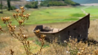 Thatësira në Kosovë: Liqenet shndërrohen në kullota (FOTO) Thatësira në Kosovë: Liqenet shndërrohen në kullota (FOTO)