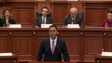 Kuvend historik mes Kosovës dhe Shqipërisë/ Mesazhi i Konjufcës emocionon deputetët: Serbia na lufton nga brenda dhe jashtë, na duhet mbështetja juaj
