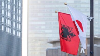 Në kërkim të tregjeve të reja, Shqipëria e Japonia mund të gjejnë pikëtakime ekonomike që sot s’i kanë