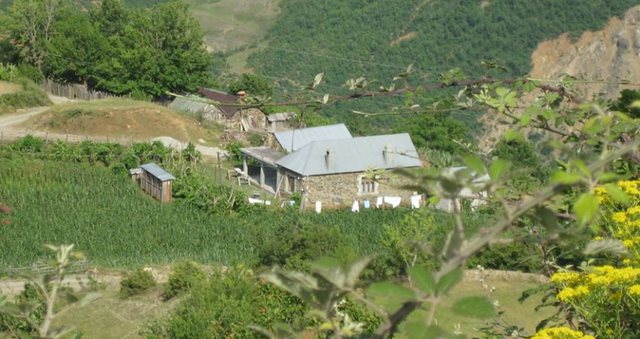 Fshatrat po rrënohen, qytetet drejt zvogëlimit! (VIDEO)