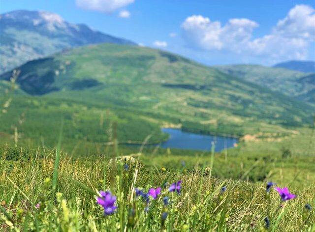 FOTO: “Shtegu i Ngjyrave” në Kukës, destinacioni magjepsës i pranverës FOTO: “Shtegu i Ngjyrave” në Kukës, destinacioni magjepsës i pranverës