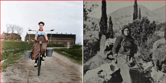 Hollandezja dhe shqiptarja e 1940-ës
