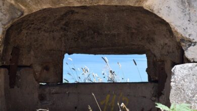 Akademikët shqiptarë përtej “Perdes së hekurt”, mosbindje e studentëve dhe format “e buta” të mospajtimi ndaj regjimit komunist Akademikët shqiptarë përtej “Perdes së hekurt”, mosbindje e studentëve dhe format “e buta” të mospajtimi ndaj regjimit komunist